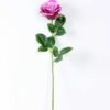 12*12*70CM Single Rose GS-1780029-Z1