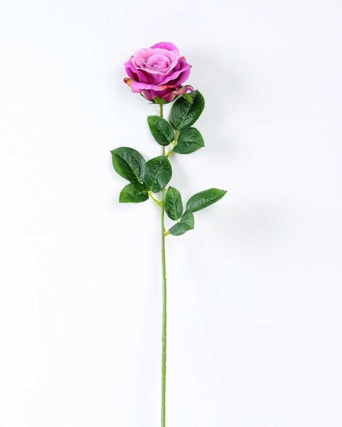 12*12*70CM Single Rose GS-1780029-Z1