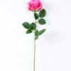 12*12*70CM Single Rose GS-1780029-Z2