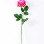 12*12*70CM Single Rose GS-1780029-Z2