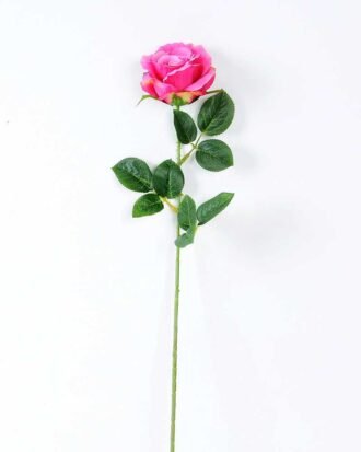 12*12*70CM Single Rose GS-1780029-Z2