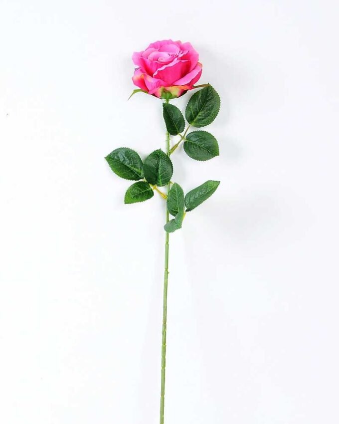 12*12*70CM Single Rose GS-1780029-Z2