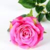 12*12*70CM Single Rose GS-1780029-Z2