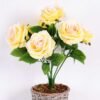 25*25*43CM Rose Bush*7 GS-1810035-Y1 1 25*25*43CM Rose Bush*7 GS-1810035-Y1