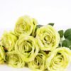 28*28*45CM Rose Bush*9 GS-1810036-G1