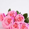 28*28*45CM Rose Bush*9 GS-1810036-P1
