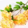 25*110cm Peony spray*5 GS-1830009-C1