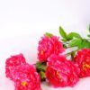 25*110cm Peony spray*5 GS-1830009-P2