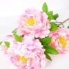 25*110cm Peony spray*5 GS-1830009-P3