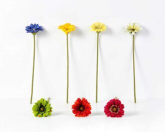 Single Daisy GS-1930017