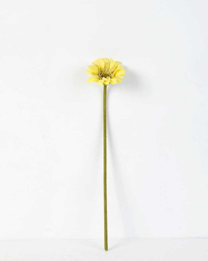 Single Daisy GS-1930017