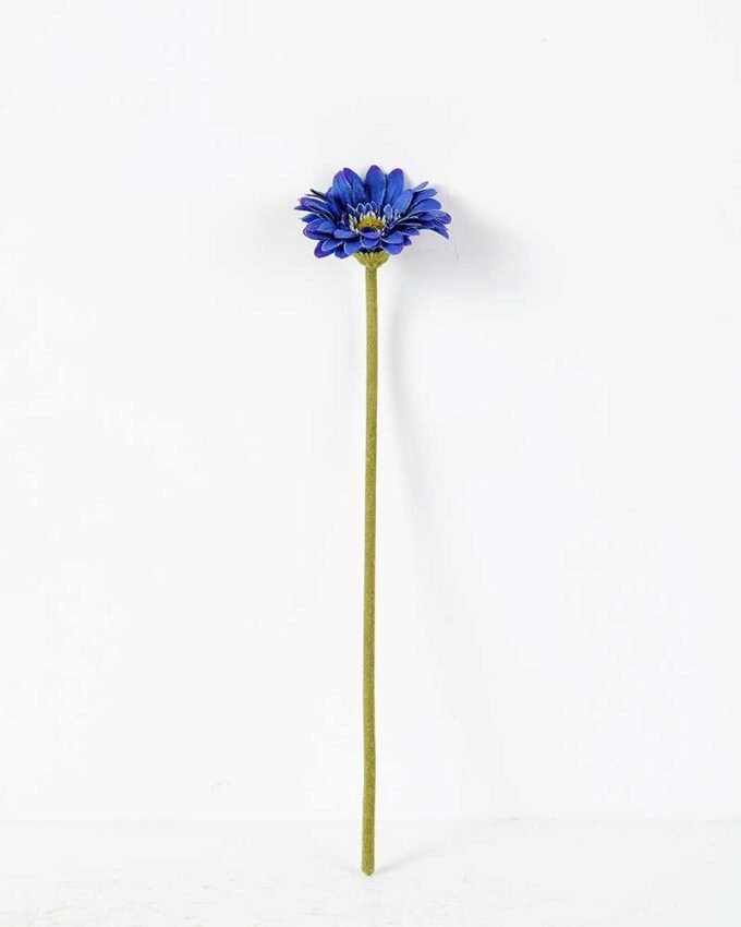 Single Daisy GS-1930017