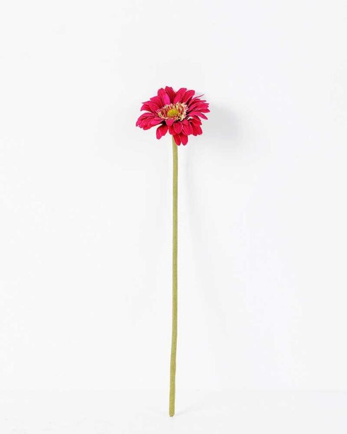 Single Daisy GS-1930017