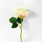 25CM Singel Rose GS-1930041