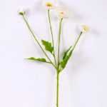 10*56cm Mini poppy spray*4 GS-2180007-W1