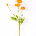 10*56cm Mini poppy spray*4 GS-2180007-Y1