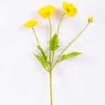 10*56cm Mini poppy spray*4 GS-2180007-Y2