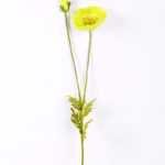 13*96cm Poppy spray*2 GS-2180008-G1