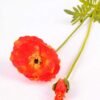 13*96cm Poppy spray*2 GS-2180008-O1