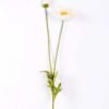 13*96cm Poppy spray*2 GS-2180008-W1