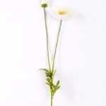 13*96cm Poppy spray*2 GS-2180008-W1
