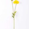 13*96cm Poppy spray*2 GS-2180008-Y2