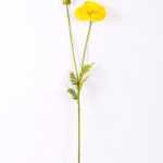 13*96cm Poppy spray*2 GS-2180008-Y2