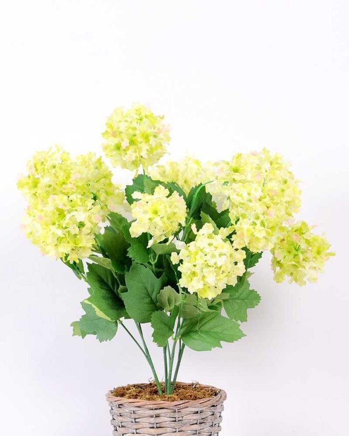 36*46CMHydrangea*16 GS-2310066-G1
