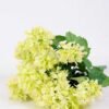 36*46CMHydrangea*16 GS-2310066-G1