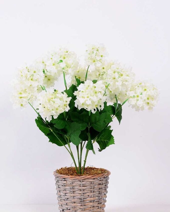 36*46CMHydrangea*16 GS-2310066-W1