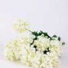 36*46CMHydrangea*16 GS-2310066-W1