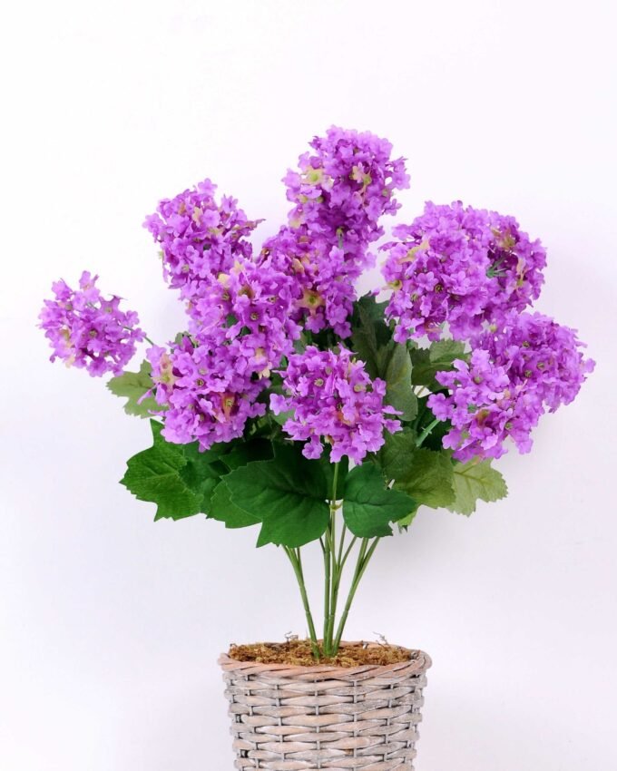 36*46CMHydrangea*16 GS-2310066-Z1