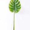 26*102CM Monstera  leaf GS-2310078