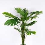 61*150CM Monstera Tree in pot GS-2310082