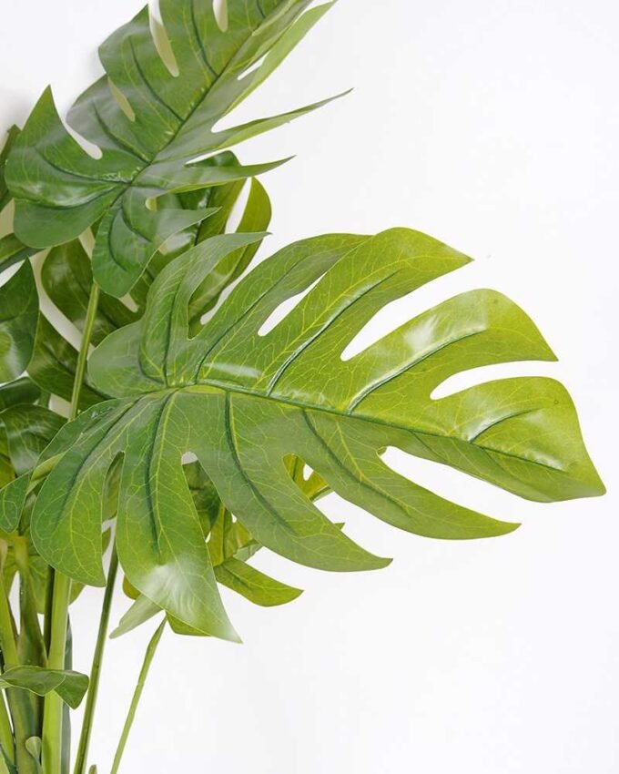 88*120CM Monstera Tree in pot GS-2310083