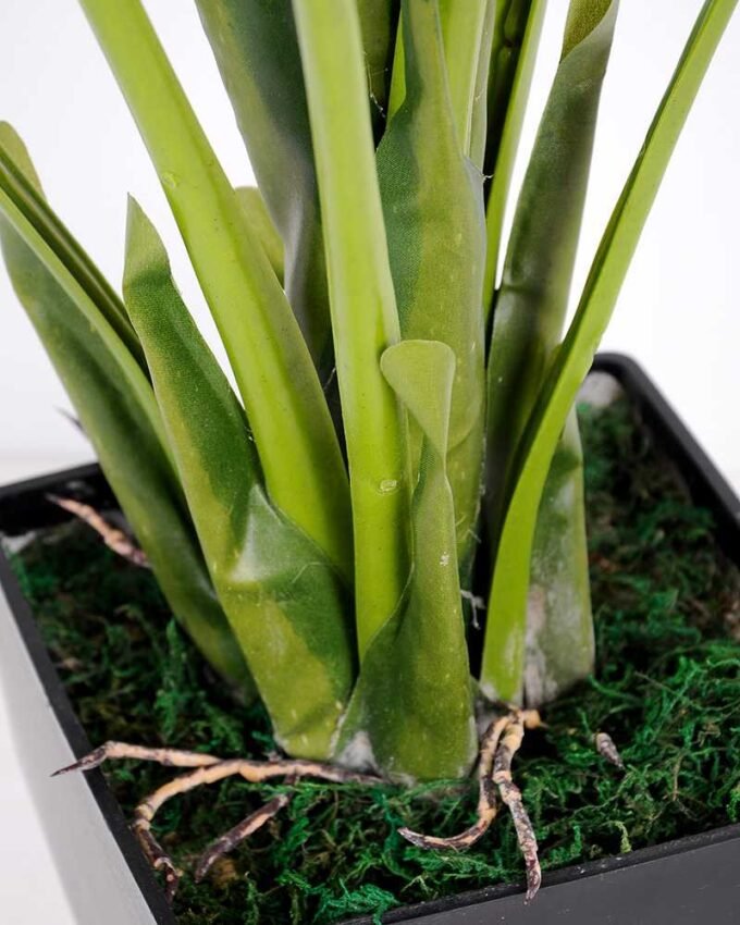 88*120CM Monstera Tree in pot GS-2310083