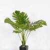 81*92CM Monstera Tree in pot GS-2310084