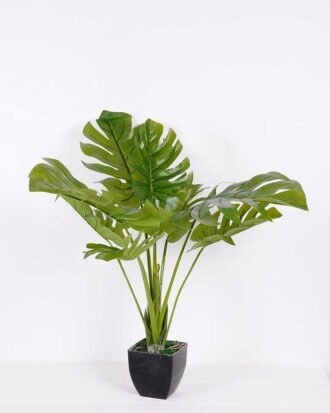 81*92CM Monstera Tree in pot GS-2310084