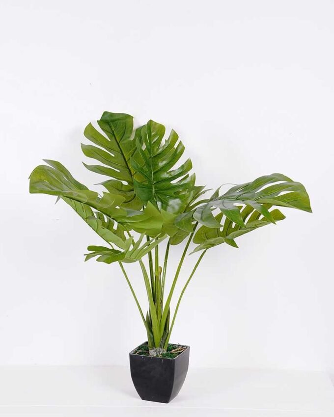 81*92CM Monstera Tree in pot GS-2310084