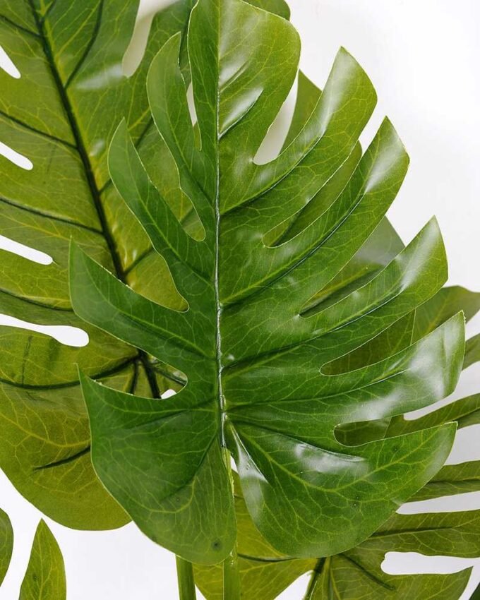 81*92CM Monstera Tree in pot GS-2310084