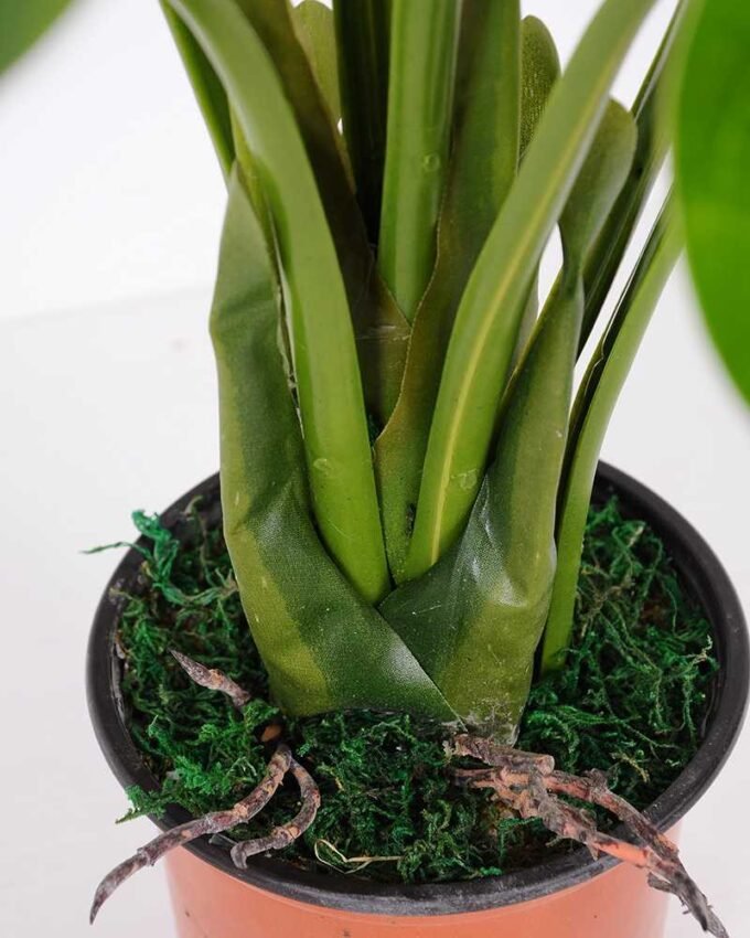 64*78CM Monstera Tree in pot GS-2310085