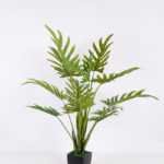 117*151CM Bergamot tree in pot GS-2310086