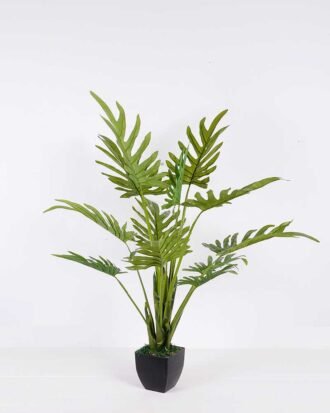117*151CM Bergamot tree in pot GS-2310086