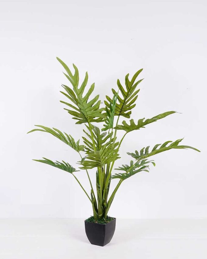 117*151CM Bergamot tree in pot GS-2310086