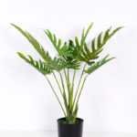 87*86CM Bergamot tree in pot GS-2310087
