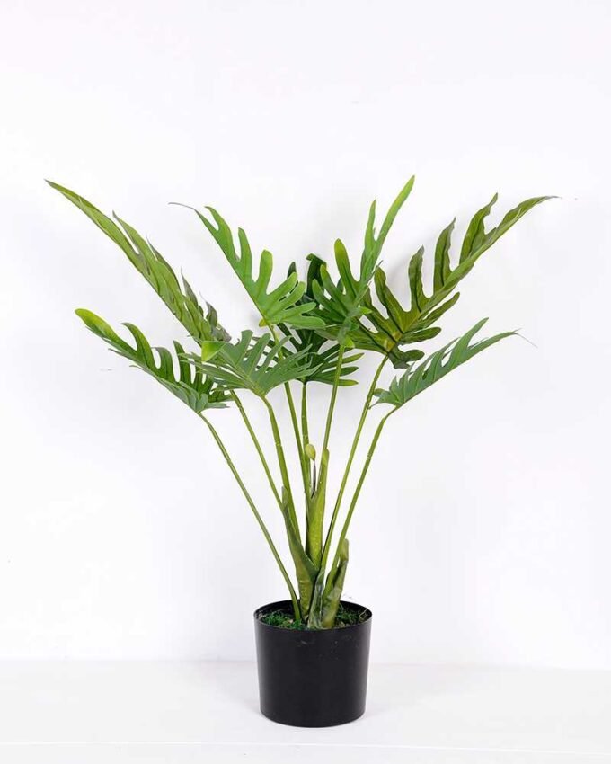 87*86CM Bergamot tree in pot GS-2310087