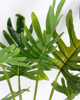 87*86CM Bergamot tree in pot GS-2310087