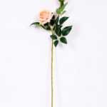 20*71cm Velvet rose spray*2 GS-2390014-C1
