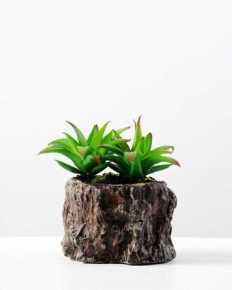 Succulent bonsai GS-2450205 Succulent YeahFlower is one of Chinese leading OEM manufacturers and exporters , supplying the silk flowers, wholesale artificial trees Succulent bonsai GS-2450205