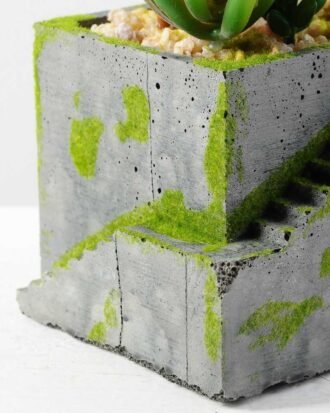 Succulent bonsai GS-2450214